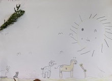 Kid’s Art of One Seed