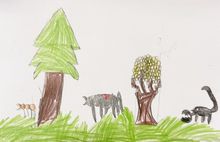 Kid’s Art of One Seed